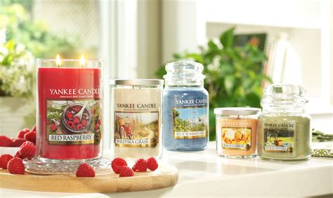 yankee candle dealers|More.